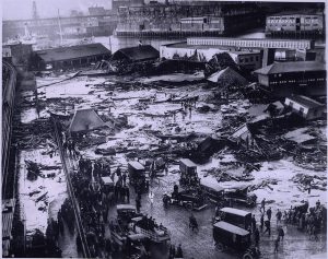 Logo for The Molasses Flood